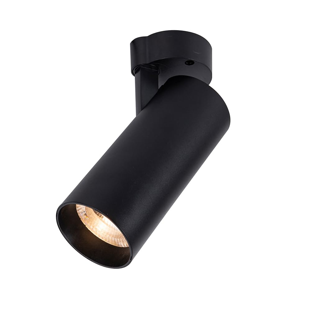 Oprawy typu downlight, regulowany reflektor sufitowy LED do montażu podtynkowego, lampa punktowa