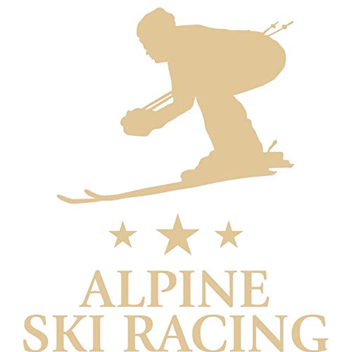Crown Awards Alpine Ski Racing Plaques, Custom Engraved Alpine Skiing Trophy Plaque Award, Great Customizable Ski Team Gift Prime