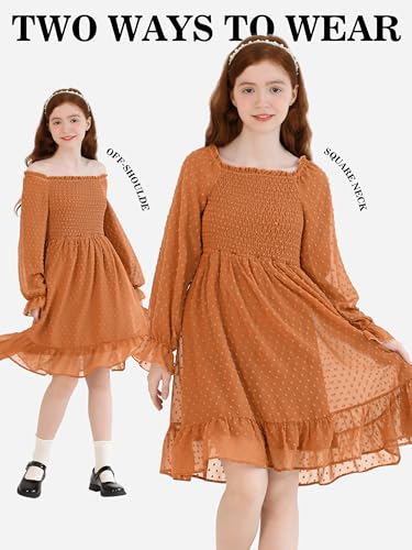 Girls Long Sleeve Dress with Puff Sleeves & Ruffle Hem, Christmas Holiday Party Dress for Fall Winter, Sizes 6-154