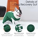 IECOii Dog Onesie for Surgery, Adjustable Long Sleeve Anti Lick Recovery Sleeve For Dogs Back Leg Female Spay Recovery Suit, Soft Pet Abdominal Anti Licking Shirt, Dog Bodysuit, Green, Medium - Image 4