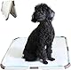 PAWISE Faltbarer Pee Pad Halter für Welpenunterlagen, Hundeunterlagenhalter, Pee Pad Tablett für Trainingspads, Welpenunterlagenhalter (53 cm x 53 cm)