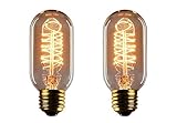 Vintage Edison Bulb - 25 Watt - T45 - Squirrel Cage Filament - Dimmable - 2 Pack - 65 Lumen