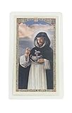 Oración en Español. Prayer in Spanish Tarjetas Laminadas. Laminated Cards Te Protegerán del Mal. They Will Protect You From Evil Tarjetas Benditas. Blessed Cards Protege a los que Amas. Protect those you love Sus Santos de Devoción. His Saints of Dev...