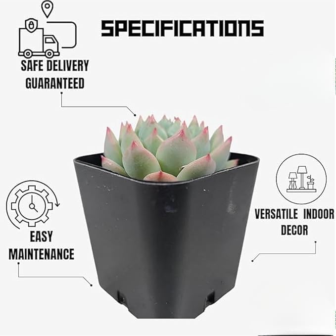 Image of live plants (LAXMIII)