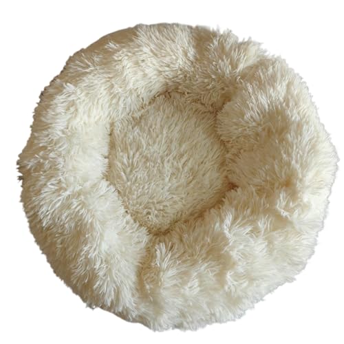 Fiozwea Eh^ybgxbh ӂӂh[ic^~p\t@xbh LpBӂӂŒgA~ߌʂAϊ \iTCYWJLxjB (D,a90CM)