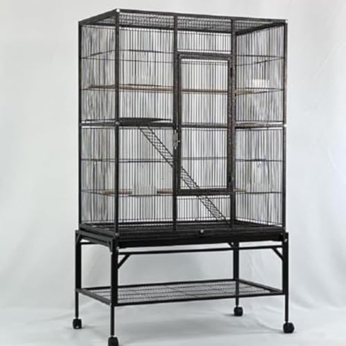 NIGOE  LX^[t SA IE  ^  Bella Supplies S  O[v   tB[_[ ̑ 甠 O\ȃgCt     Bella ^  