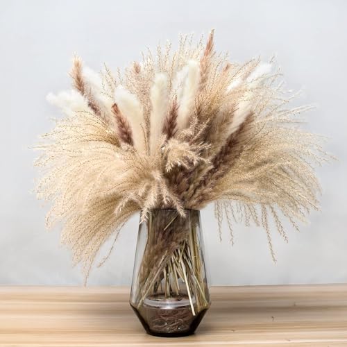 SKY-TOUCH Natural Dried Pampas Grass Bouquet : Brown White Reed Pampas Floral Arrangements Decorations for Home Room Office Party Decor (60PCS)