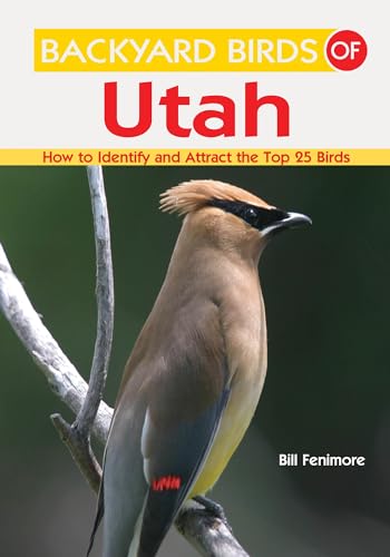 Backyard Birds of Utah: How to Identify and Attract the