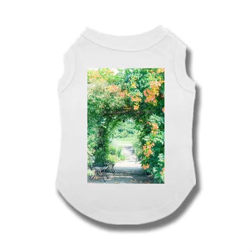 hbOEFA LbgEFA  L  3XL L m[X[u Ȃ n 킢 t ̕ h ^Ngbv ʋC p sVc ₩ UVJbg Eѕی ^ z іh~ zCg 