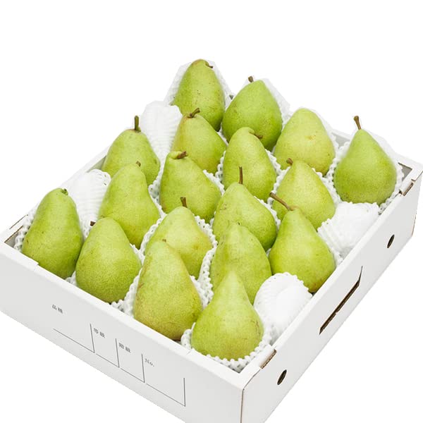 Amazon.co.jp: 山形県産 西洋梨 マルゲリット・マリーラ 5kg (秀品/7玉