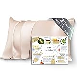 PROMEED 100% Mulberry Silk Pillowcase for Hair and Skin, Both Sides 23 Momme Grade 6A+ Silk Pillow Case with Hidden Zipper, 1400 TC, Soft & Smooth (Standard 20'x26', Champagne)
