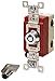 Bryant Electric 4902RKL Locking Type Switch, Barrel-Key, Double Pole, Industrial Specification Grade, 20 Amp, 120/277V, Stainless Steel
