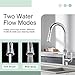 APLusee Pull Down Kitchen Faucet Spray Head Replacement, 2 Modes Sink Pull Out Sprayer Head Nozzle, Chrome