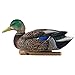 Avian Topflight Mallard Duck, 6 Pack, with Topflight Early Season Teal, 6 Pack, Realistic True to Life Outdoor Hunting Decoy Sets