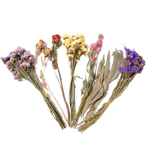 Biizhe t[nX^[QAhCt[nX^[Q - rX^vgԕnX^[P[WANZT[ | i`nX^[pbhVRC - hCt[ƃOXnX^[P[WĂ̒EL܂̏CȕynX^[ANZ