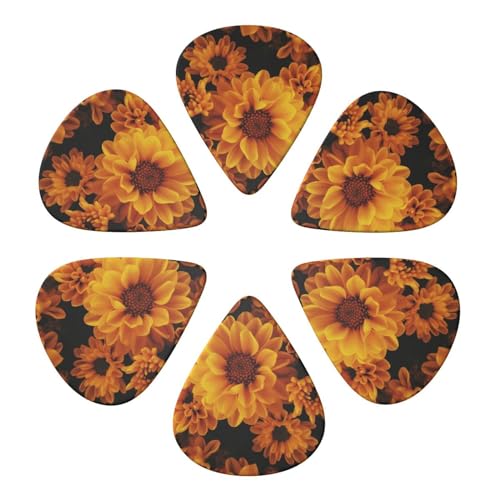 M^[sbN CG[evg M^[sbNz_[ AR[XeBbNM^[ oCI ENx[X 6pbN