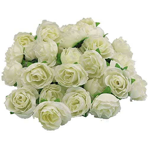 Yyiingkku  o 50 3cm ԃwbh  u[P [Y KN Ԃ̂ |    CeA  a ̋LO uC_ p[eB[  (~NzCg)