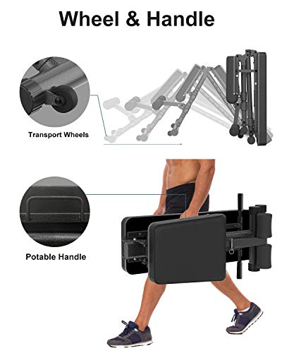 BARWING Adjustable Weight Bench- 800 lbs Folding Full Body Workout Bench with Dragon Flag, Automatic Lock Multi-Purpose Incline/Flat/Decline Bench for Home Gym Strength Training Black