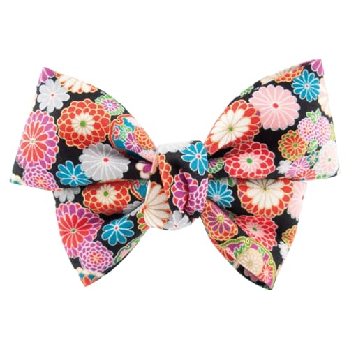 Piena wAob^ fB[X { a a ԕ _  傫 wAANZT[ { (ubN)