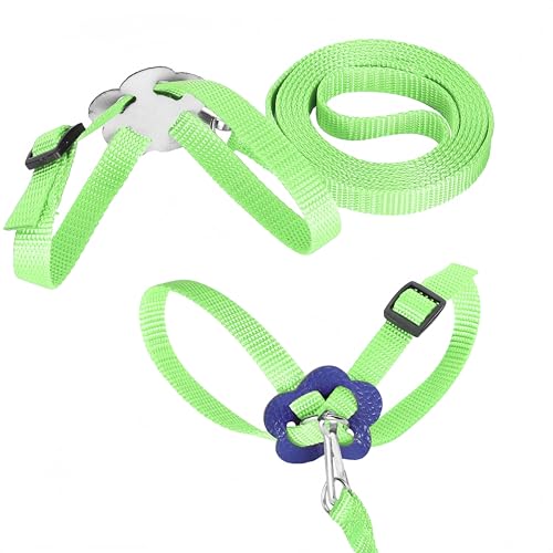 Verstellbares Geschirr für Papageien, 2 Stück, Geschirr für Vögel, Outdoor Carrying Flight Rope Tether Vogel Harness, für Sittich, Cockatiel, Alexandrin, Scharlachrot
