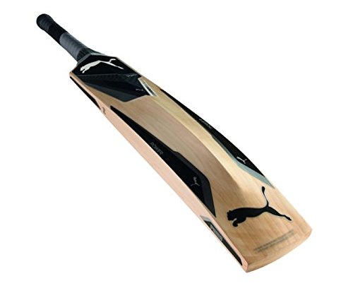 puma evopower 5000 cricket bat