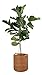 KOUBOO 1060095 Laguna Round Ear Handles, Honey-Brown Rattan Storage Basket