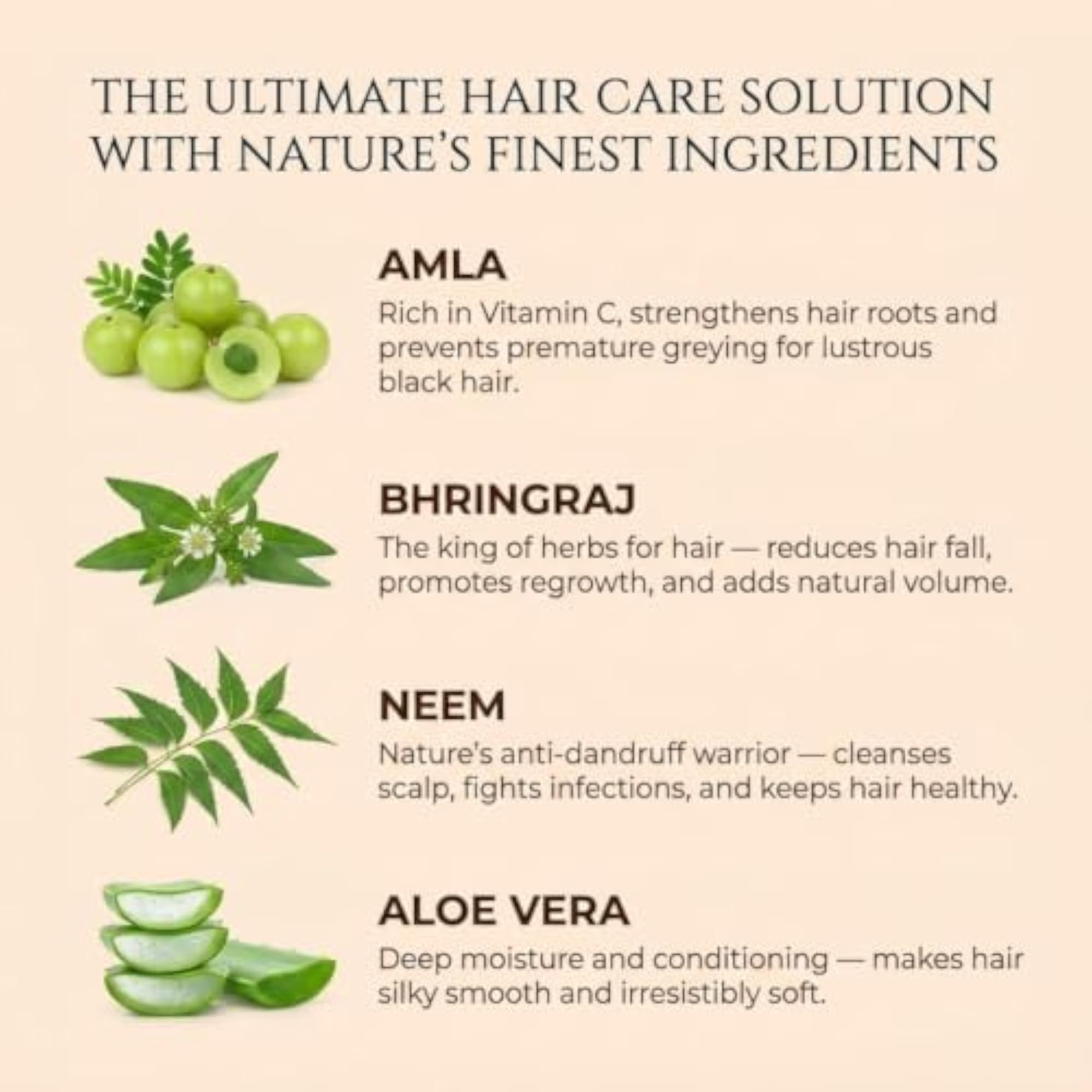 Hasina Herbal Hair Oil for Dandruff Control & Nourishment