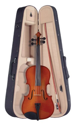 Palatino VA-450-14 Allegro Viola Outfit, 14 Inches