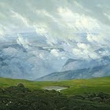 cese actividad  Cese de actividad