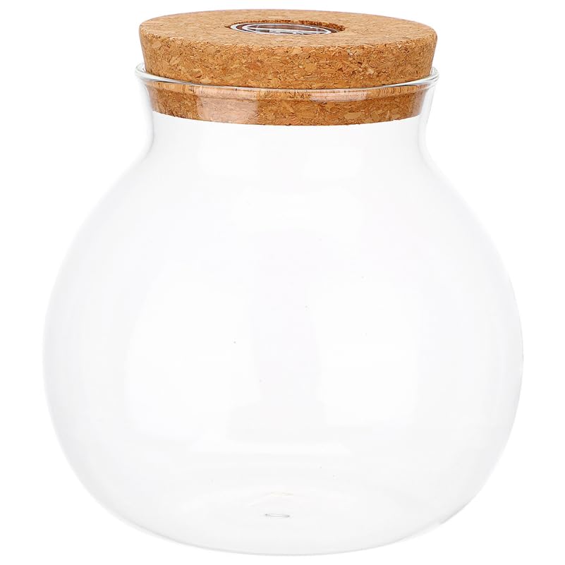 Inoomp JardinièRe en Verre Hydroponique avec Couvercle en LièGe Vase Transparent pour Terrarium Station De Propagation De Bureau Pot De Plantes IntéRieur...
