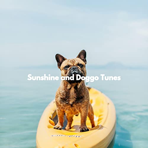 Amazon MusicでCalming Dog Music Playlist & Perro Jazz Relajante Playlist