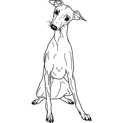 'Italian Greyhound' Rubber Stamp - Unmounted Design for Crafting & Scrapbooking, A7 (RS00037692)