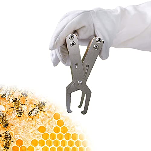 Rahmen Bienenstock Griff Imker Bienenkorb Imkerei Werkzeug Mit Holzgriff Zange Holzgriff Hochwertiger Hive Rahmen Bee… – Bild 3
