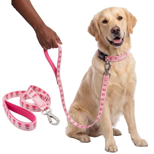 Image of Wag and Wilder Dog Collar and Leash Set for Small, Medium & Large Dogs - Heavy Duty Adjustable Collar & 5 FT Dog Leash Combo, Strong Metal Hook (Jaipur Bloom- Pink, Large, Leash Only)