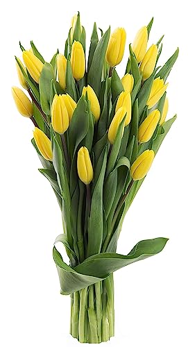 Image of KaBloom-10 Yellow Tulip Bouquet,Flowers for Valentine, Mother's Day