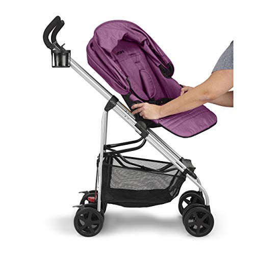 urbini raspberry fizz