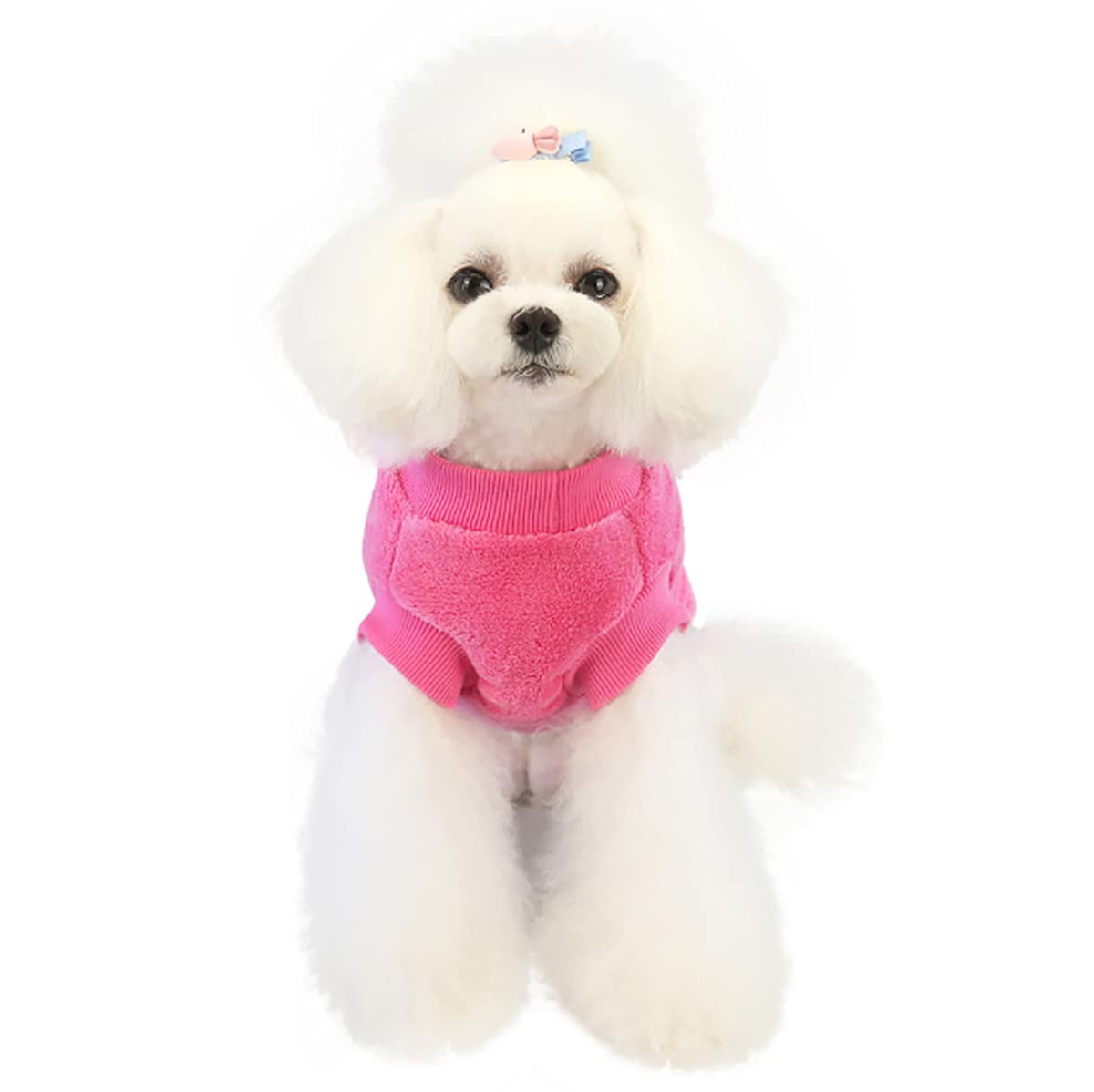 Cane Maglione Cane Vestiti in Pile Cane Maglione di Lana Inverno Caldo Sudore Camicia Fiore Pigiama Maglione in Pile per Piccolo Cane Gatto