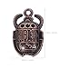 FENICAL 20pcs Vintage Egyptian Scarab Pendant Charms DIY Jewelry Making Accessories for Necklace Bracelet ()