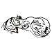 Caltric Wiring Harness Compatible with Yamaha Rhino 700 YXF700FSP 4x4 Sport Edition FI 2012