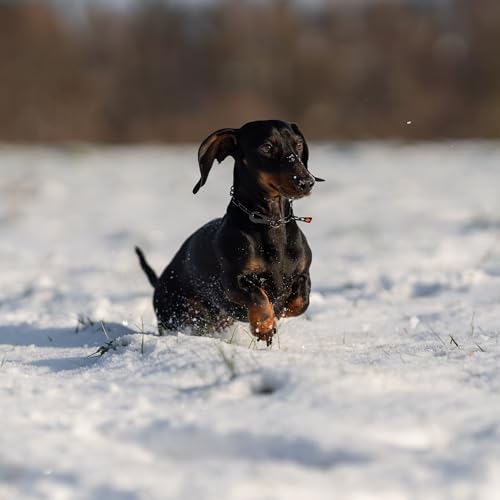 Herm. Sprenger Verstellbare Hundehalskette – Edelstahl, rostfrei, schwarz, 2,0 mm – Mit Sprenger-Haken, langlebig & sicher für Training & Alltag (30 cm)
