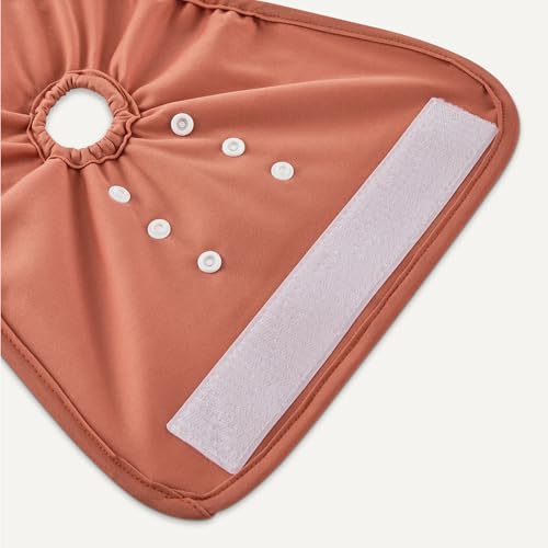 Image of Amazon Basics Reusable Washable Dog Diapers, Highly Absorbent, Female, Medium, 3-Pack, for Senior Pets, Incontinence, Fertility Cycles