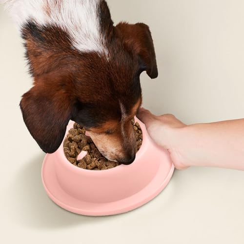 Poo4kark Cute Pet Langsame Fütterung von Hunden, Fressnapf, stoppt das Fressen von Welpen, Futternapf in Form eines Ti-Futternapfs, Katzennapf, Hundenapf, Fressnapf für Haustiere (17x4.5cm)
