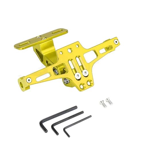 BTCTLPLMKK For SUZUKI MT07 MT09 MT10 R1 バイク用 リアナンバープレートホルダー ウィンカーライトブラケット バイク用 ナンバープレートステー(ゴールド)