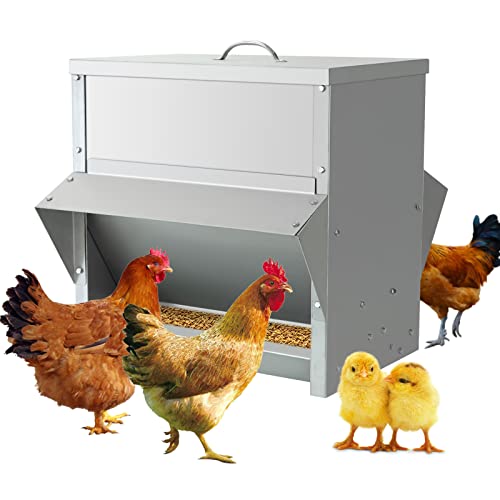 MUYIRTED 25KG Mangeoire A Poule Automatique en Acier, Agrainoir Automatique, Distributeur Graines Poules Anti Gaspillage, Accessoire Poulailler