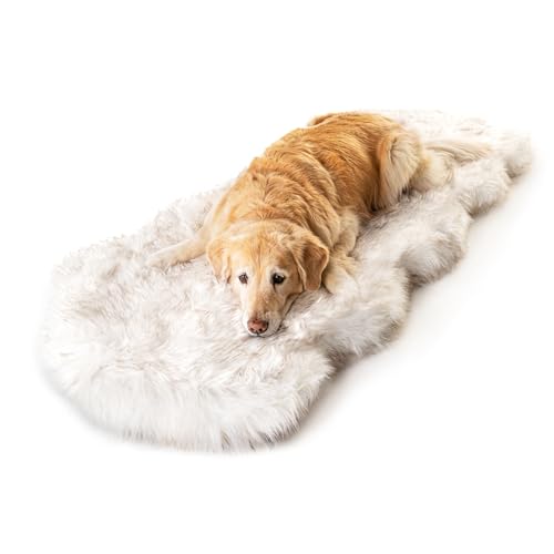 PAW BRANDS PupRug Orthopedic Dog Bed for Large Dogs with