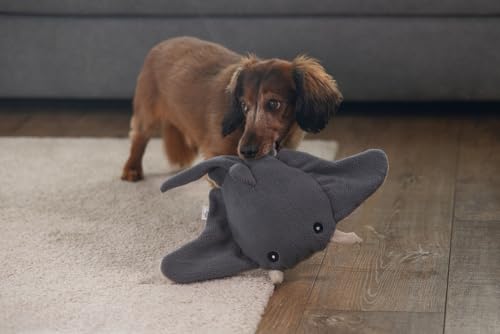 Beeztees Minus One Rochen, Hundespielzeug, Grau/Beige, 35x40x8cm