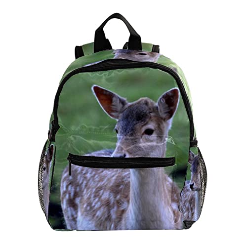 Sac à dos chien pour garçon fille fini le mal de dos avec ce format léger de 30,5 cm