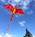 HENGDA KITE-New Ice and Fiery Dragon Kite-Easy to Fly-52inch x 63inch Single Line with Tail (Fiery)