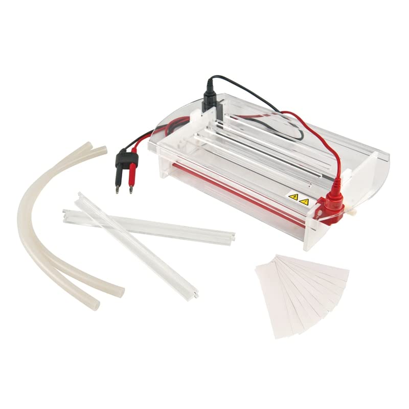 Faithful Horizontal Electrophoresis Tank for Test DNA/RNA