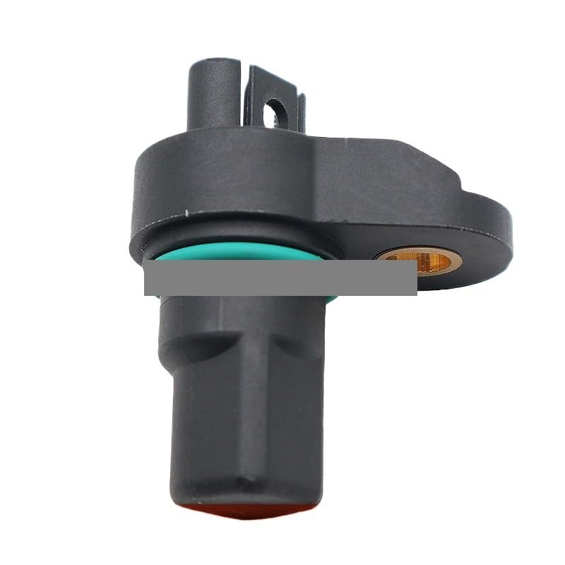 【ラスト1点】アンスリウム　AOS (skg)カットクローン アンスリウム AOS (skg)カットクローン Anthurium Aos X